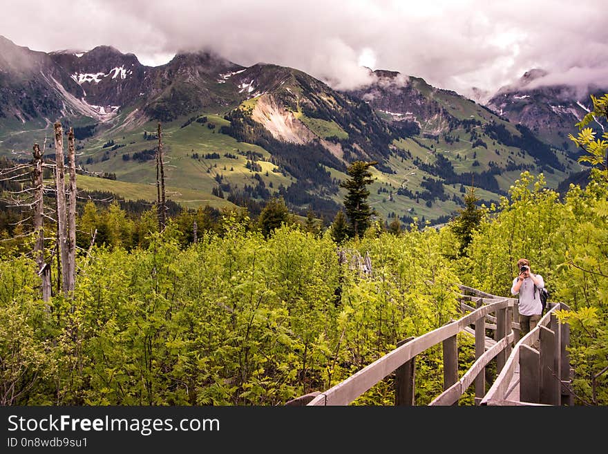 Mountainous Landforms, Nature, Mountain, Wilderness