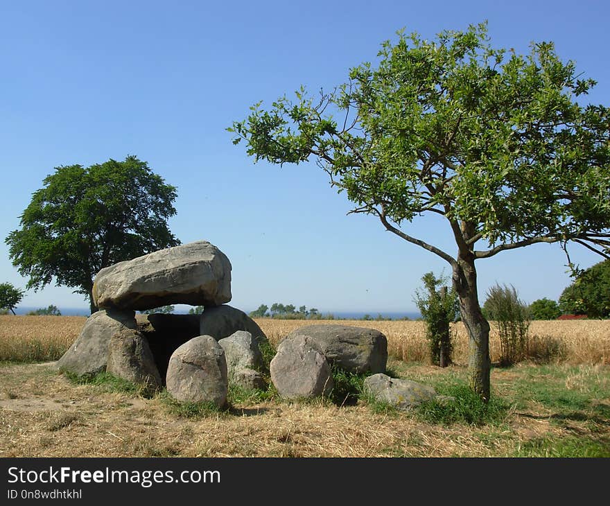 Tree, Nature Reserve, Rock, Sky