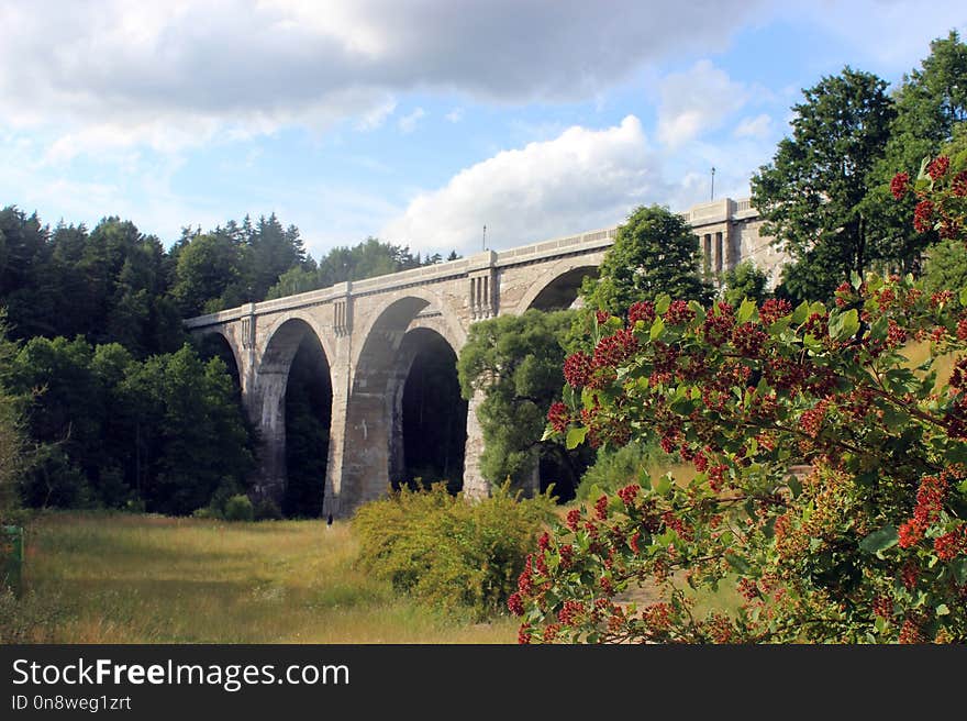 Viaduct, Bridge, Arch Bridge, Leaf