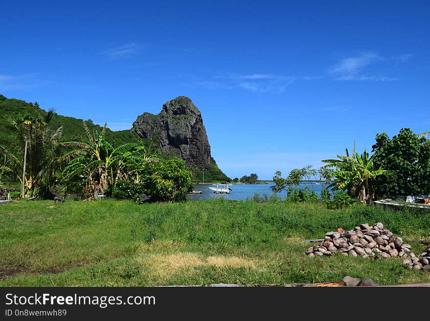 Vegetation, Nature Reserve, Sky, Mount Scenery