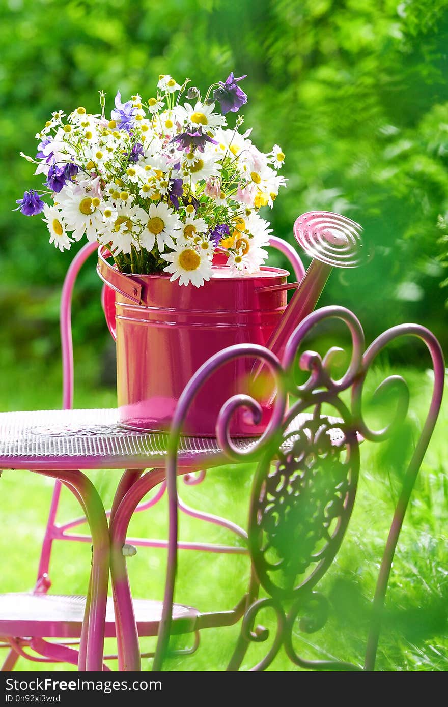 Colorful wild flower bouquet in a pink watering can on a garden chair