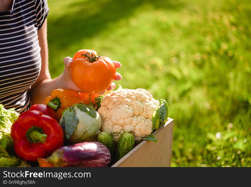 Woman holds wooden box or crate full of freshly harvested vegetables, green grass background