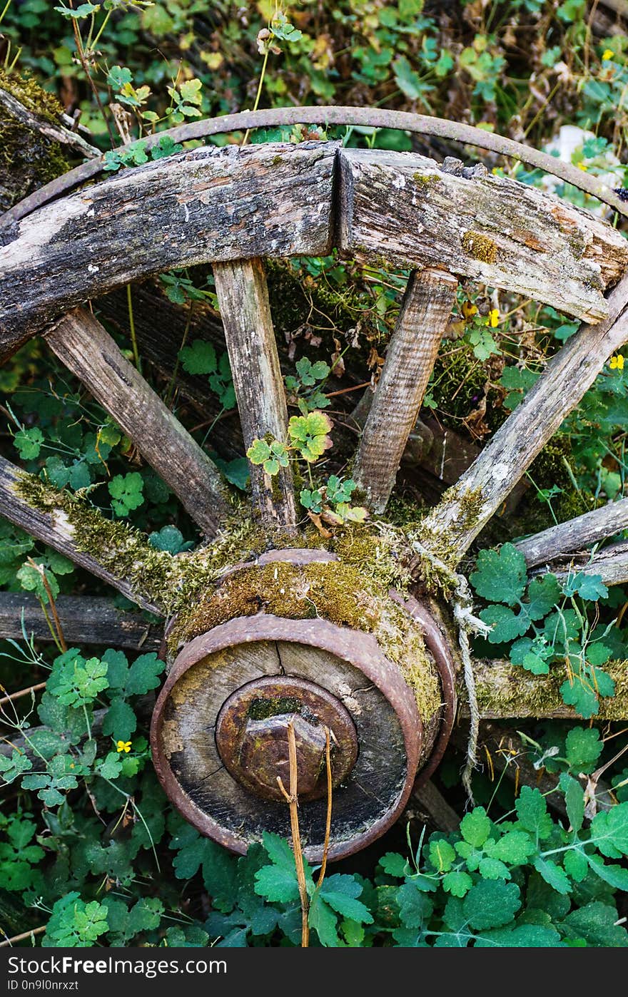 Detail of old abandoned wagon wheel in the countryside