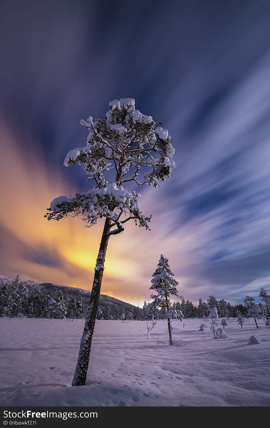 Full moon light over snow covered forest in Heia, Grong area, north Norway