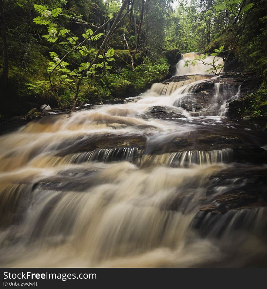 Forest mountain stream after rainy days, summer in Norway. Jonsvatnet area near Trondheim.