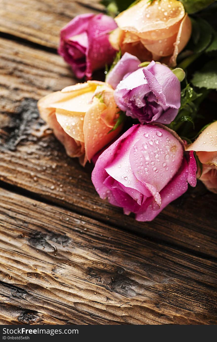 Mix of pink roses on the wooden table, selective focus