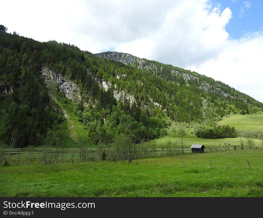 Grassland, Ecosystem, Highland, Mountainous Landforms