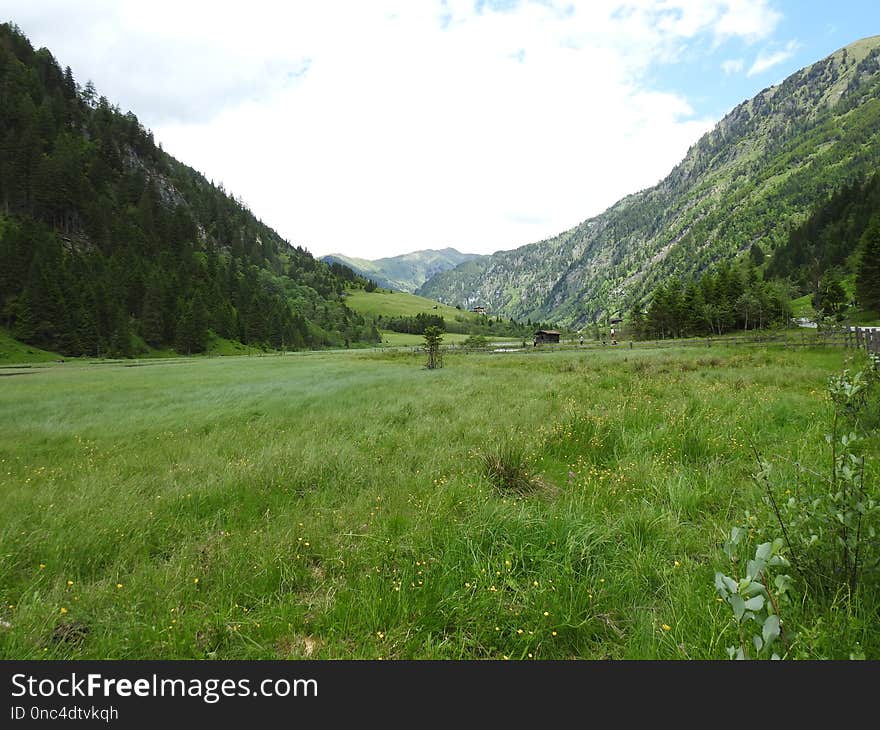 Grassland, Pasture, Nature Reserve, Ecosystem