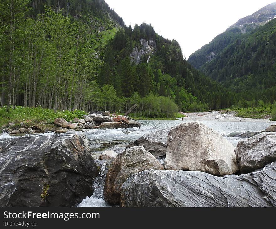 Wilderness, River, Nature Reserve, Stream