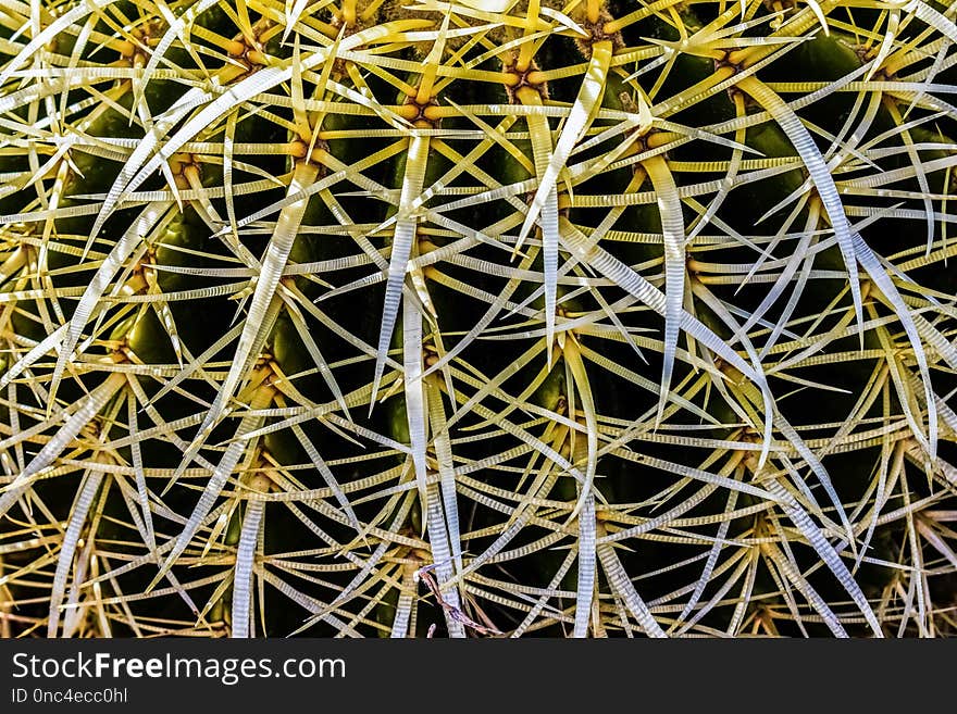 Structure, Pattern, Line, Tourist Attraction