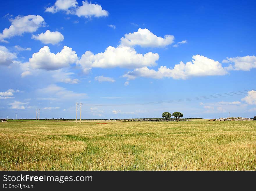 Sky, Grassland, Cloud, Prairie