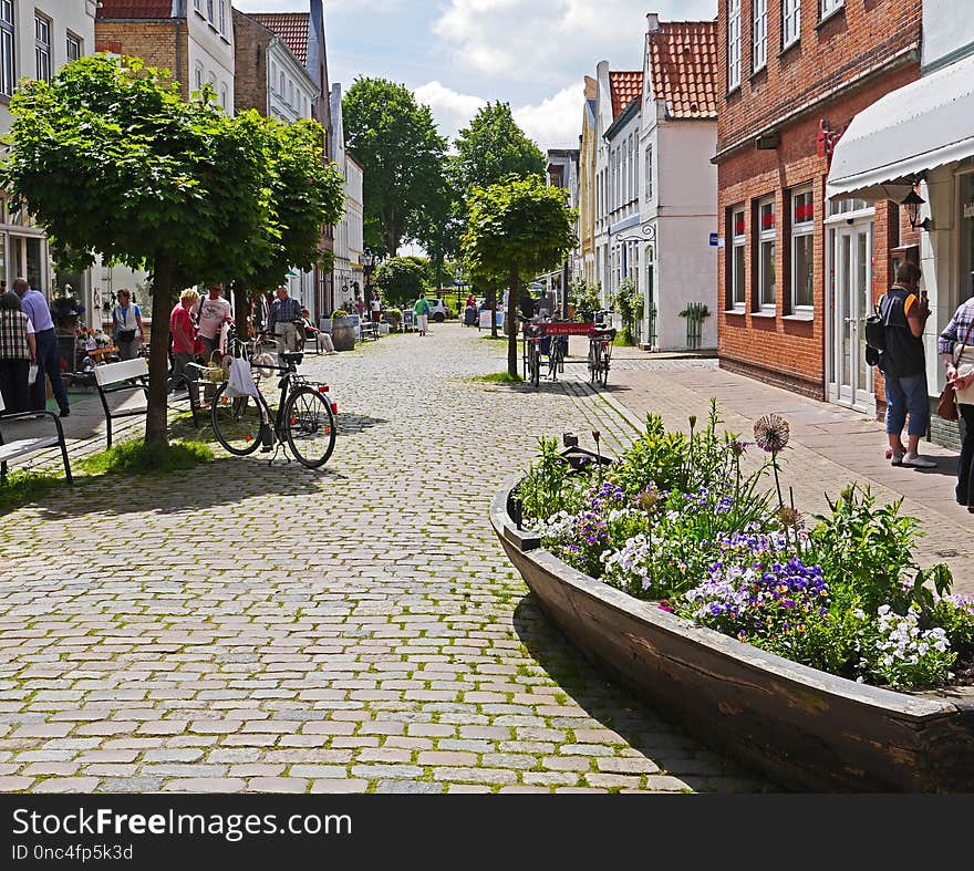 Town, Neighbourhood, Lane, Plant