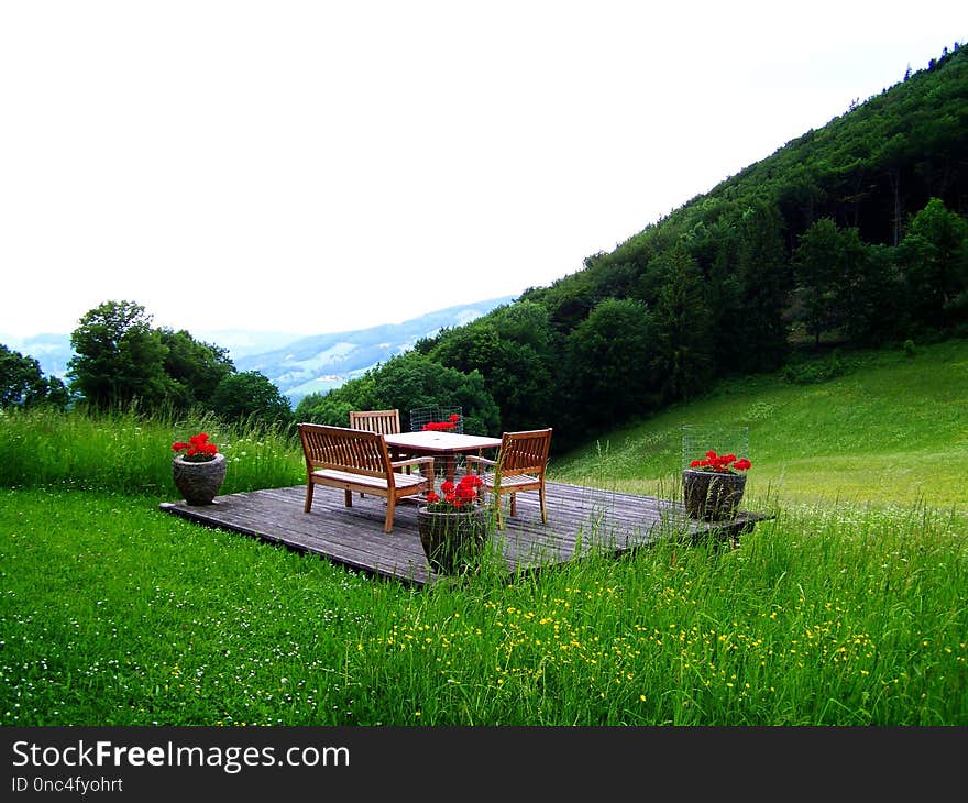 Nature, Grassland, Field, Grass