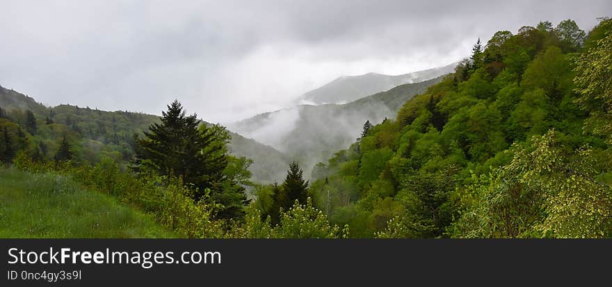 Nature, Highland, Vegetation, Nature Reserve