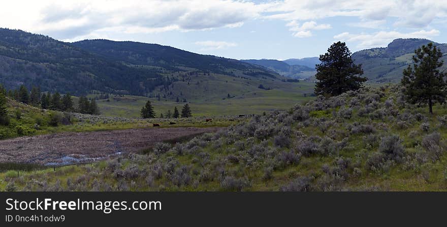 Wilderness, Highland, Ridge, Nature Reserve