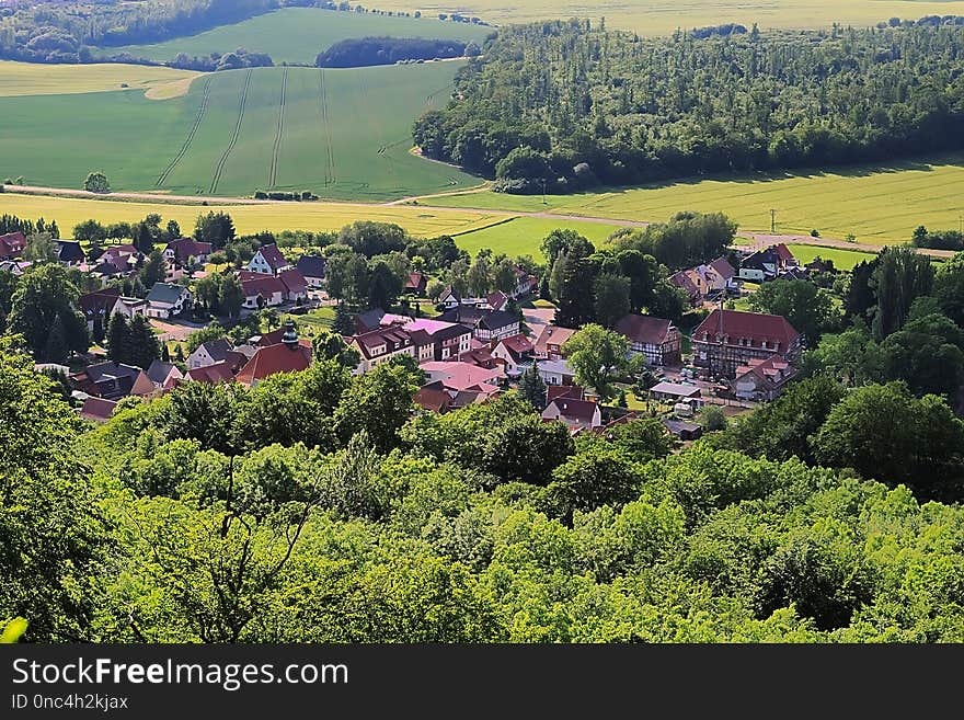 Nature, Vegetation, Mountain Village, Tree