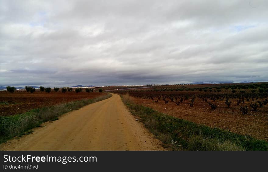 Road, Sky, Cloud, Field