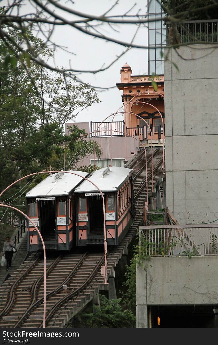 Transport, Rolling Stock, Rail Transport, Tree