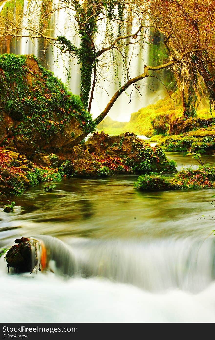 Water, Nature, Green, Body Of Water