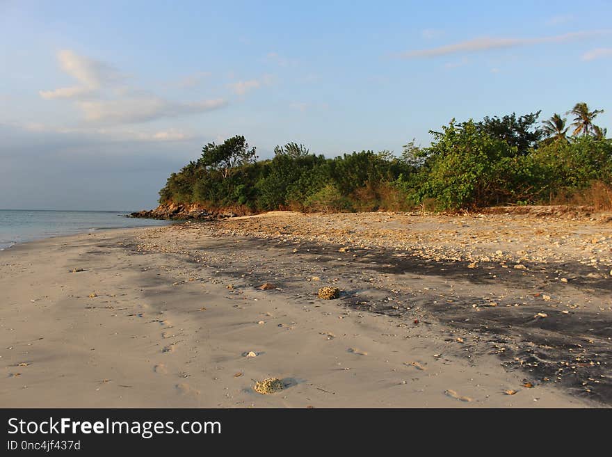 Beach, Shore, Body Of Water, Sea