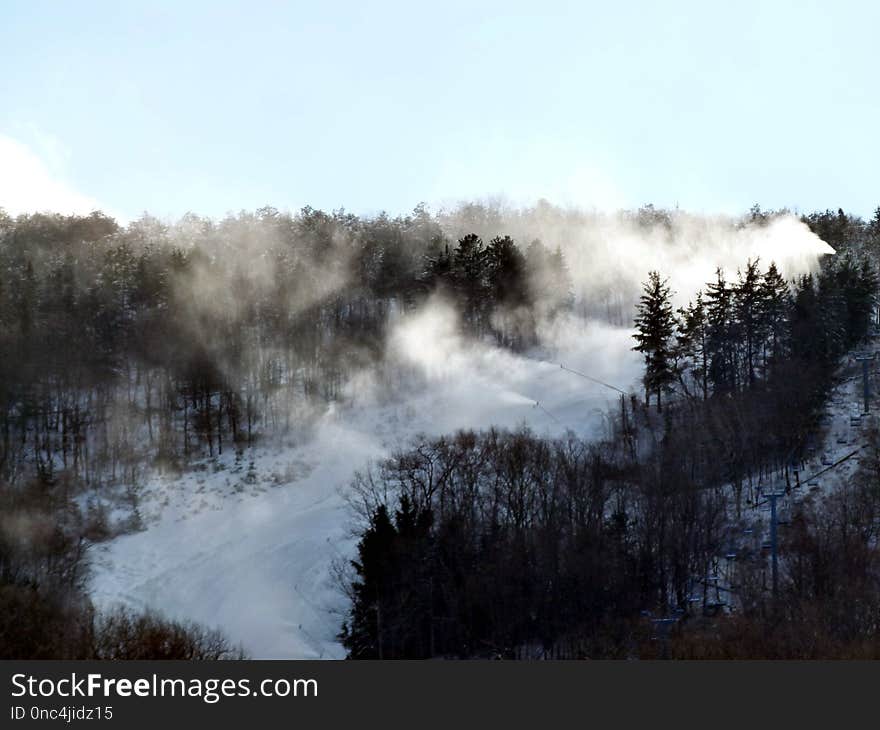 Wilderness, Sky, Winter, Tree