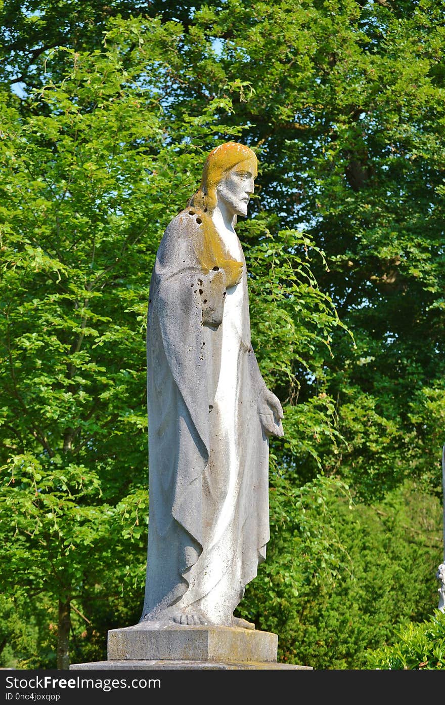 Statue, Sculpture, Tree, Monument