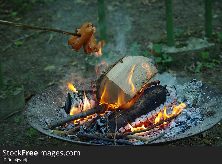 Campfire, Fire, Animal Source Foods, Forest