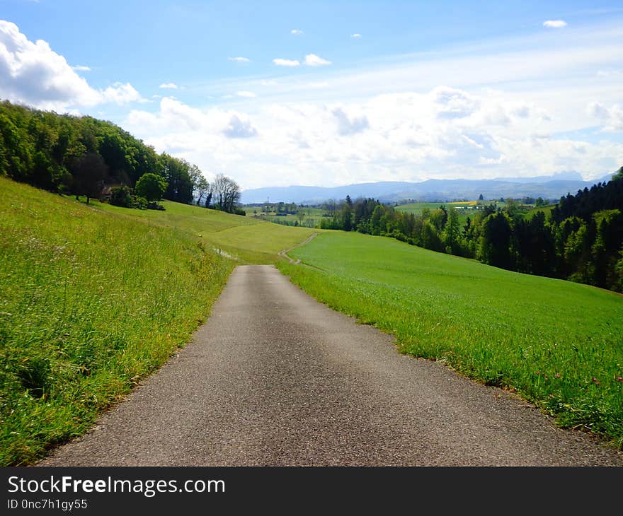 Road, Grassland, Sky, Path