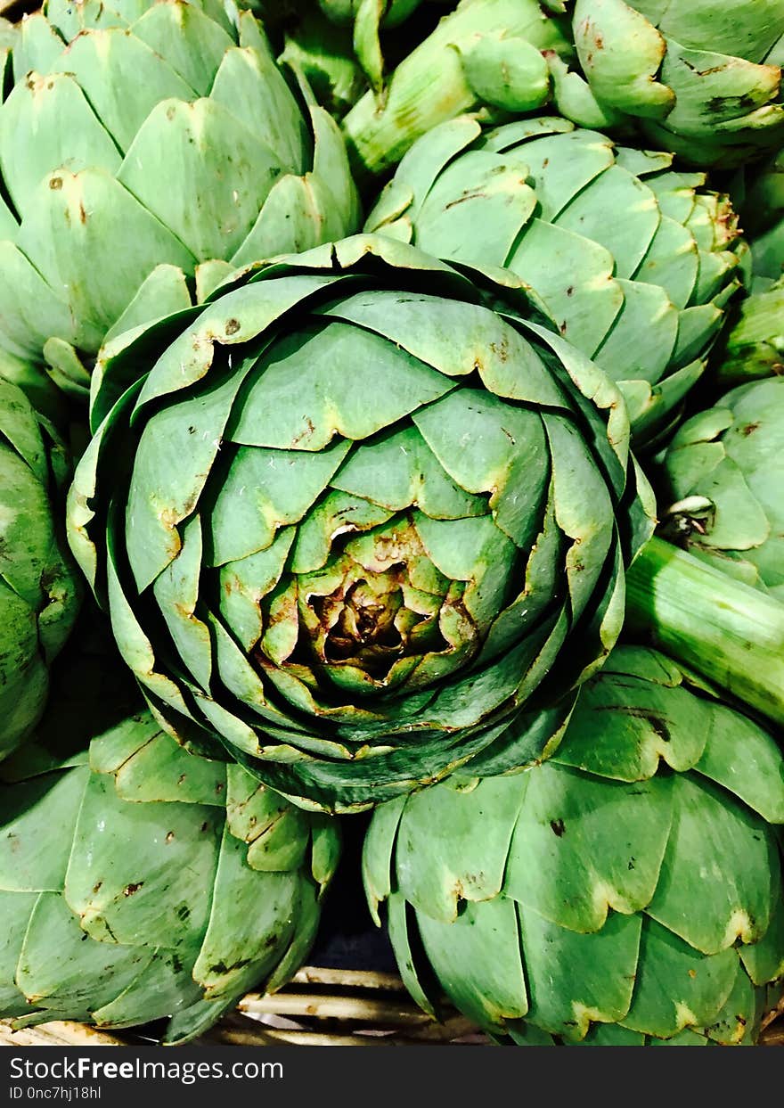 Vegetable, Plant, Cynara, Artichoke