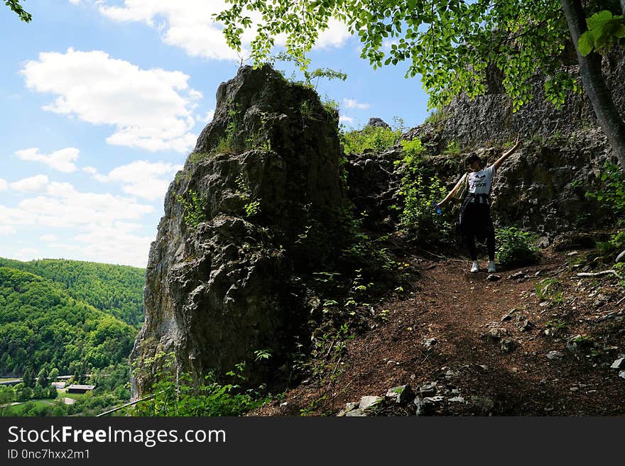 Rock, Vegetation, Nature Reserve, Tree