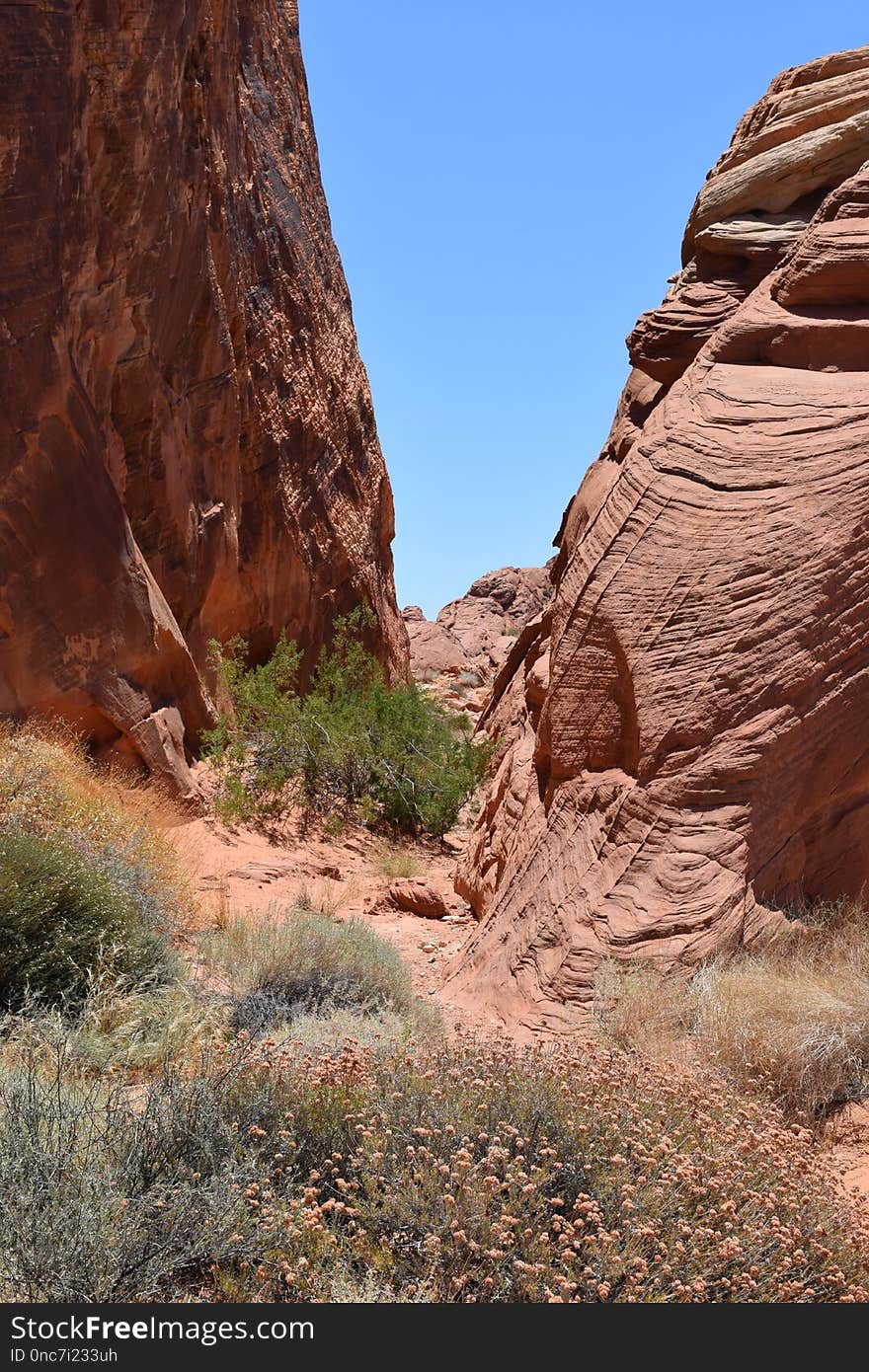 Rock, Wilderness, Canyon, National Park