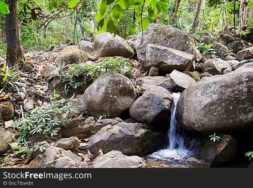 Nature, Water, Vegetation, Nature Reserve