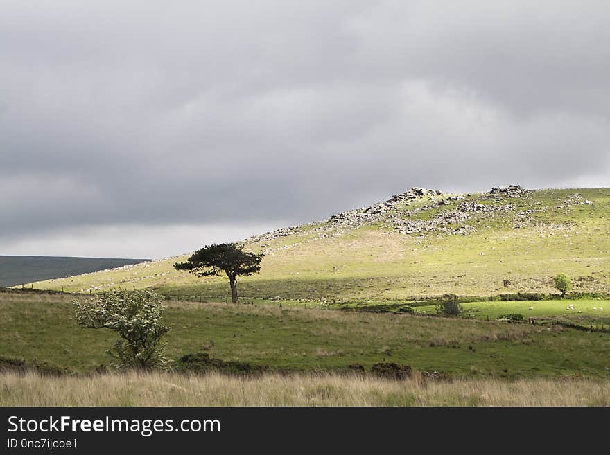 Grassland, Ecosystem, Sky, Pasture