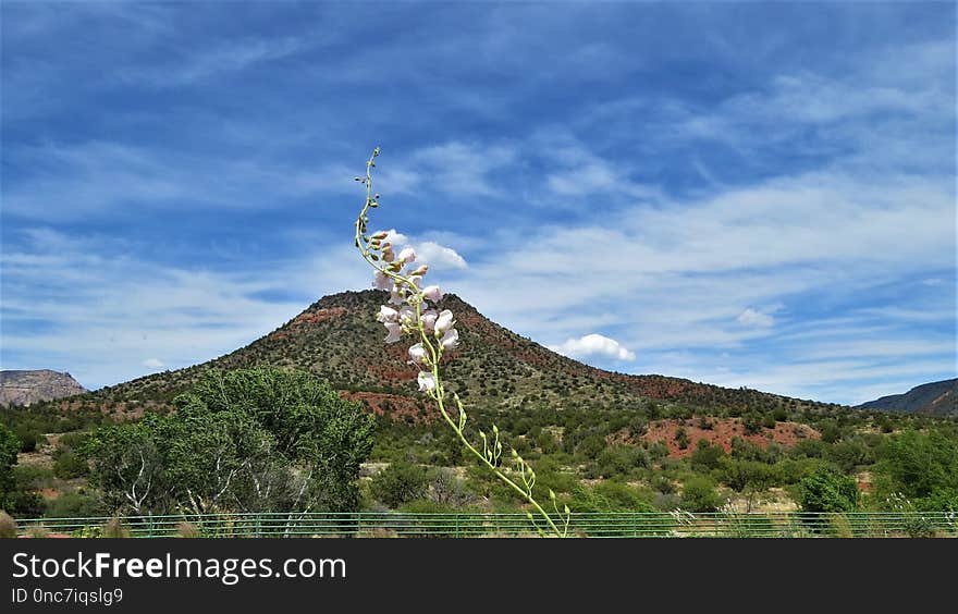 Sky, Cloud, Mountain, Tree