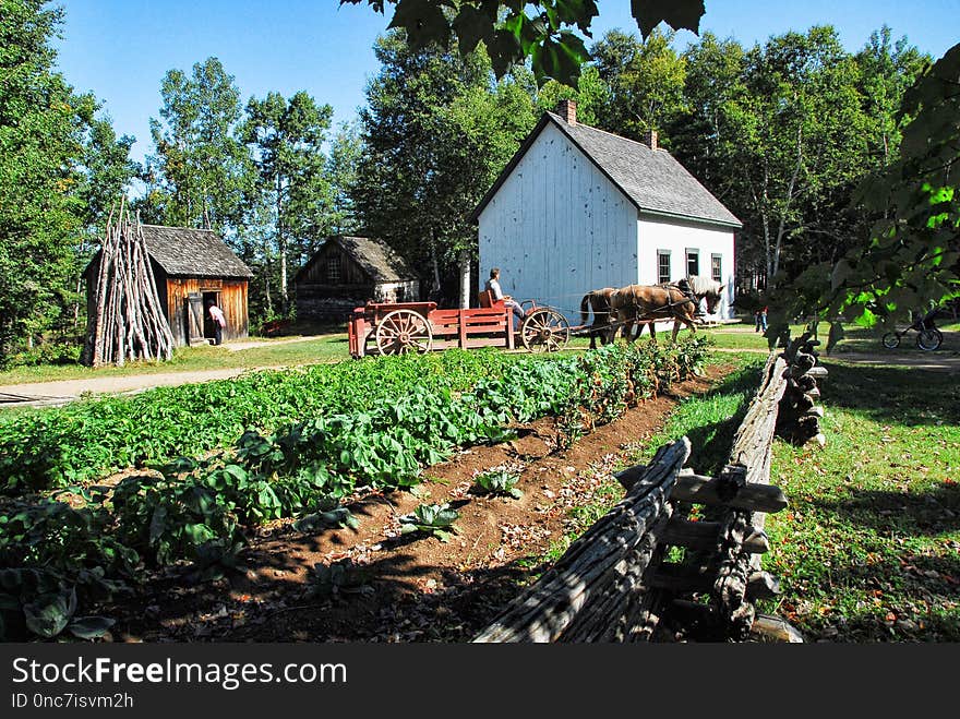 Farm, Rural Area, Tree, Cottage