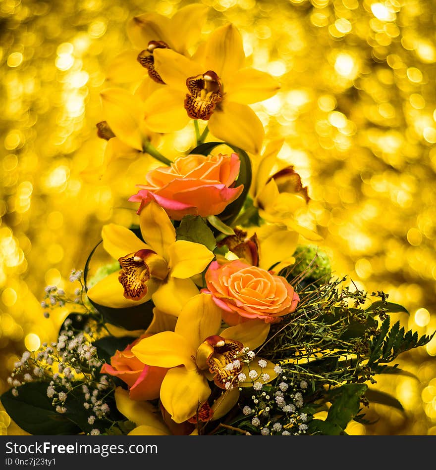 Flower, Yellow, Floristry, Flora