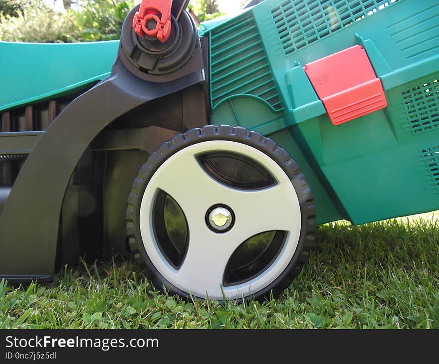 Motor Vehicle, Vehicle, Grass, Lawn