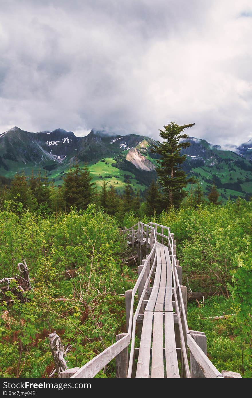 Nature, Mountainous Landforms, Mountain, Wilderness