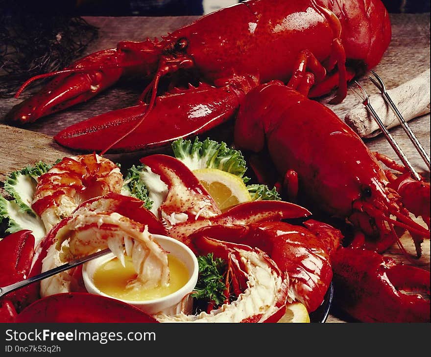 Seafood, Food, Lobster, Decapoda