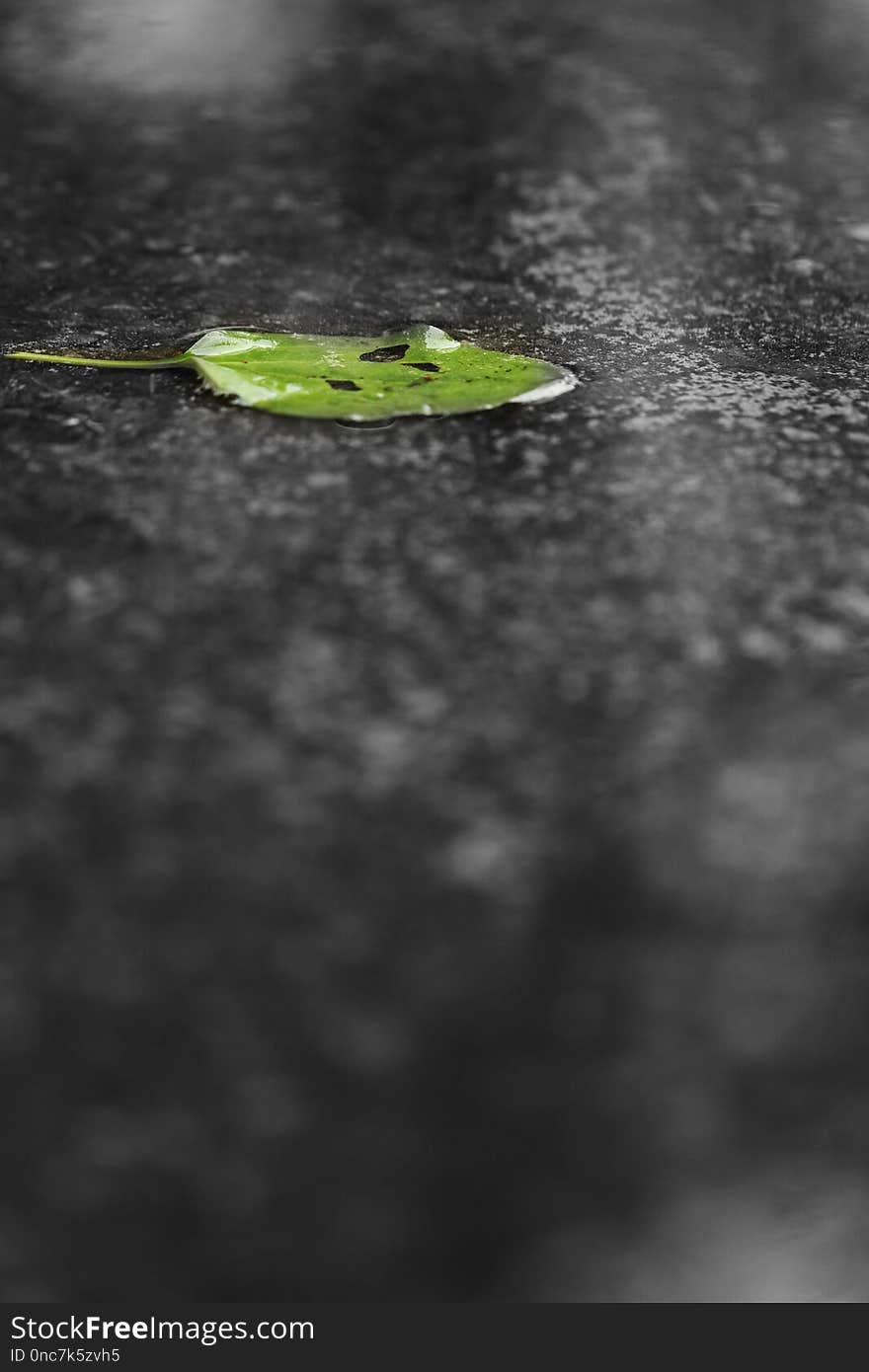 Water, Reflection, Black And White, Monochrome Photography