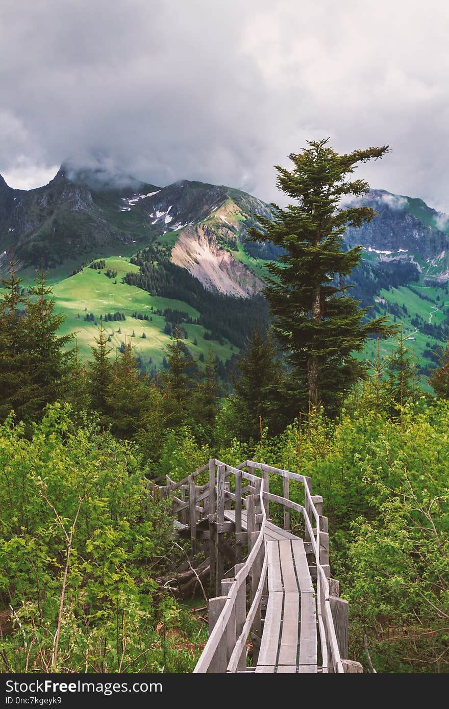 Nature, Mountainous Landforms, Mountain, Wilderness