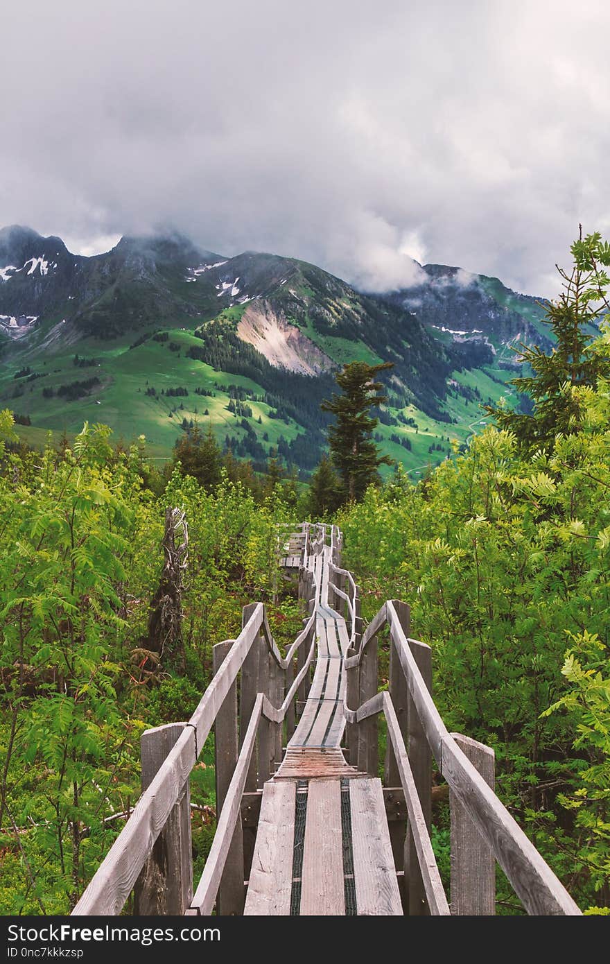 Mountainous Landforms, Nature, Mountain, Mountain Range