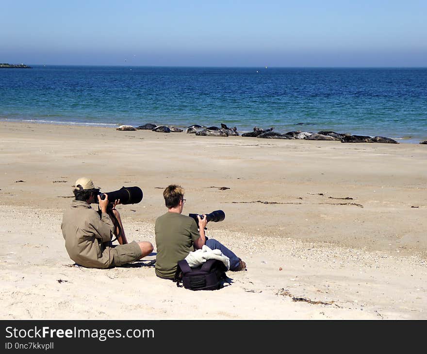 Beach, Sea, Body Of Water, Coast