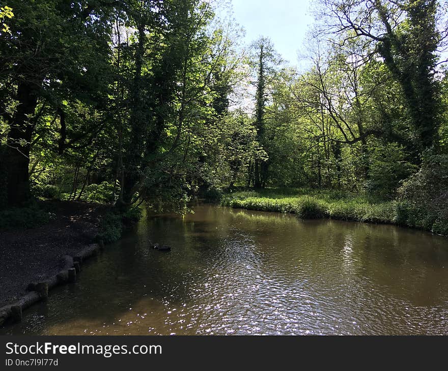 Waterway, Water, River, Nature