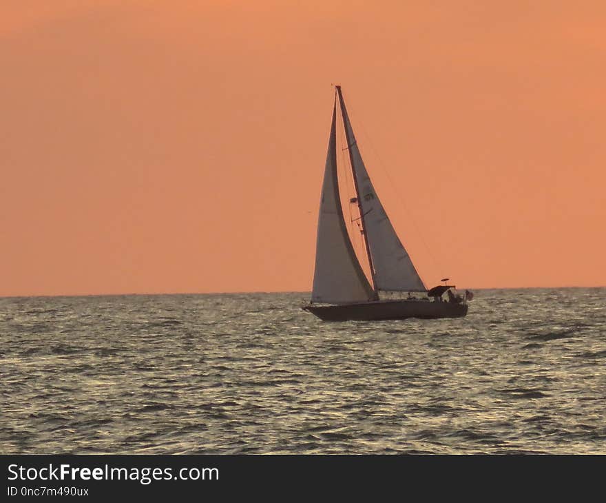 Sailboat, Calm, Sail, Water Transportation