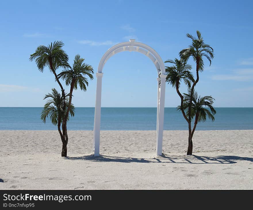 Sea, Palm Tree, Arecales, Sky