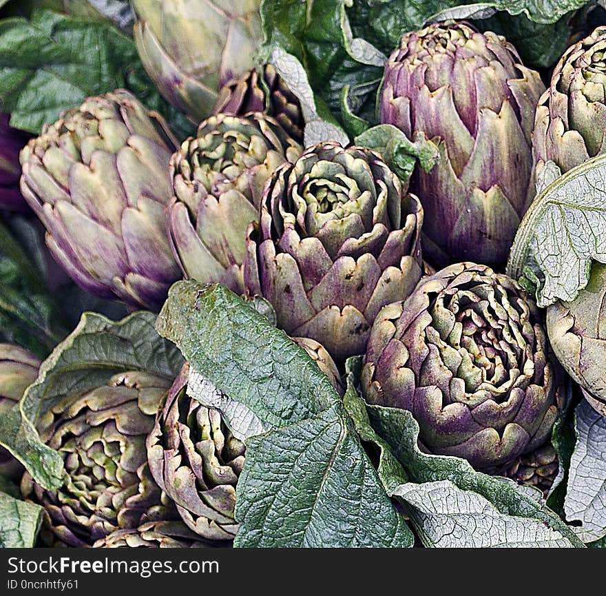 Cynara, Vegetable, Plant, Produce