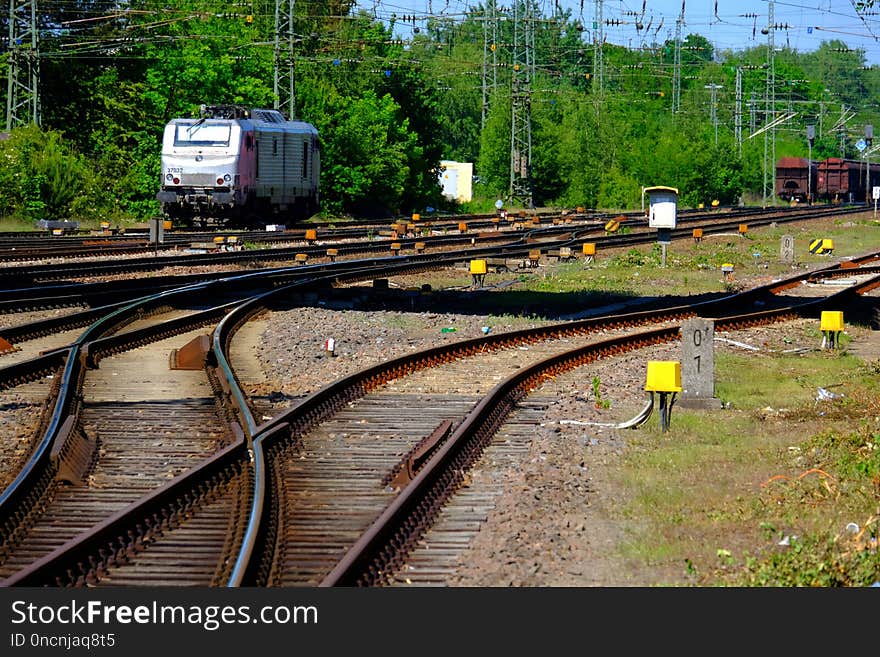 Track, Transport, Rail Transport, Train