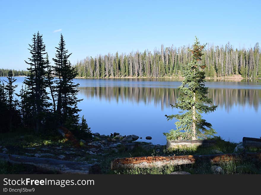 Nature, Lake, Wilderness, Reflection