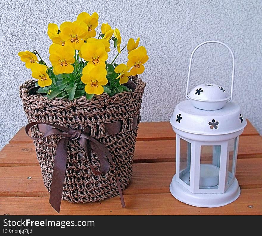 Yellow, Flowerpot, Vase, Flower